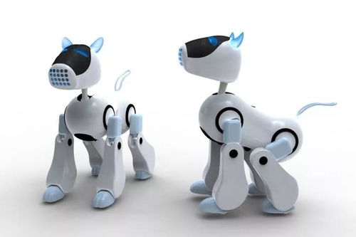 從藝術考場到職場賽道 探索藝考后的多元職業路徑——以教學用模型及教具銷售為例