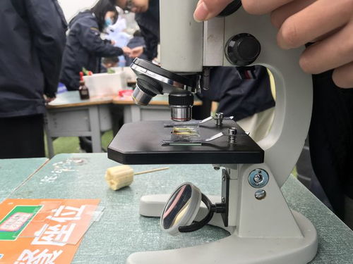 校園科技節腦力值拉滿，學生玩嗨了！教學模型與教具銷售迎來熱潮